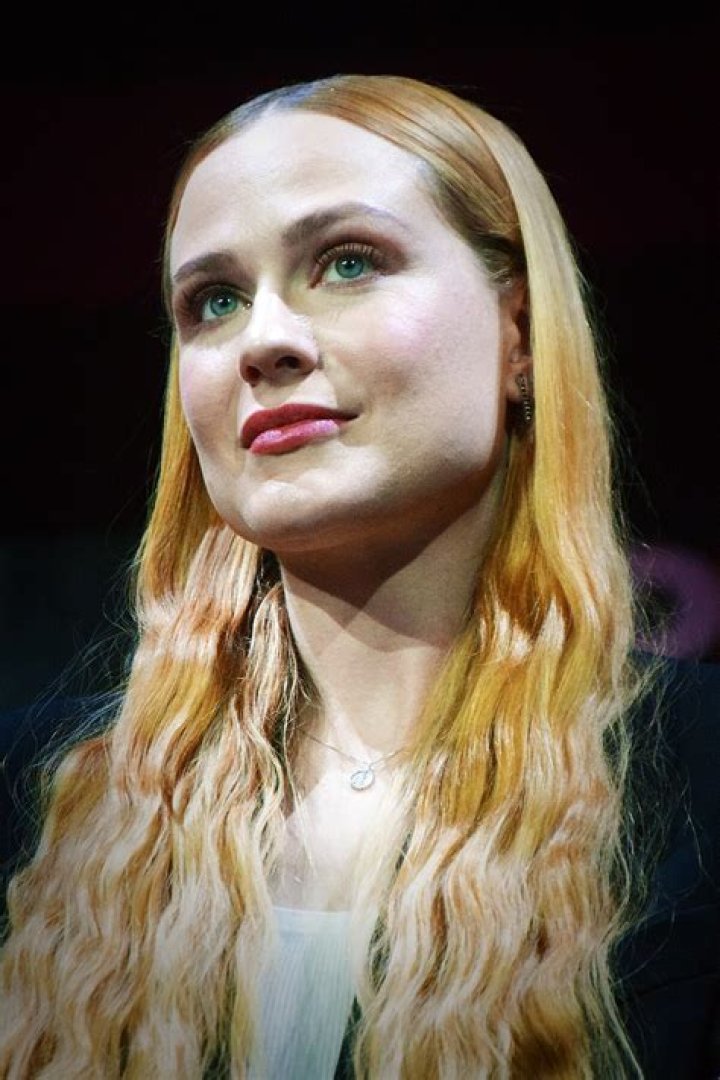 How Did Evan Rachel Wood Start Acting? Uncovering Her Early Path to Stardom